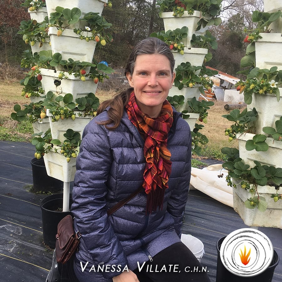 Dr. H Ealy Energetic Health Institute Holistic Nutrition Certification Nutritionist vs Dietitian