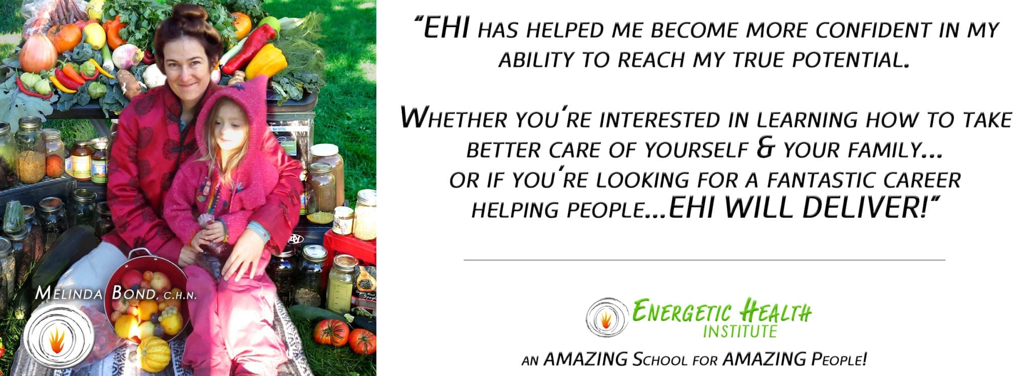Dr. H Ealy Energetic Health Institute Holistic Nutrition Certification Nutritionist vs Dietitian