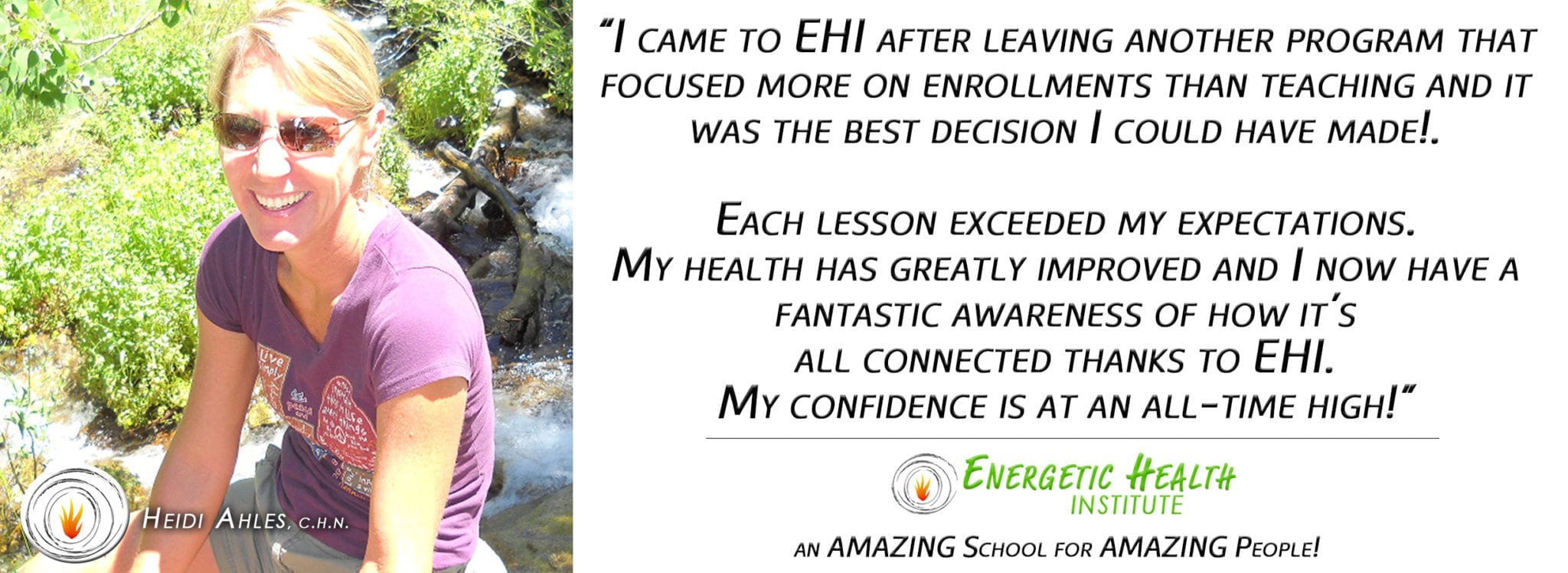 Dr. H Ealy Energetic Health Institute Holistic Nutrition Certification Nutritionist vs Dietitian