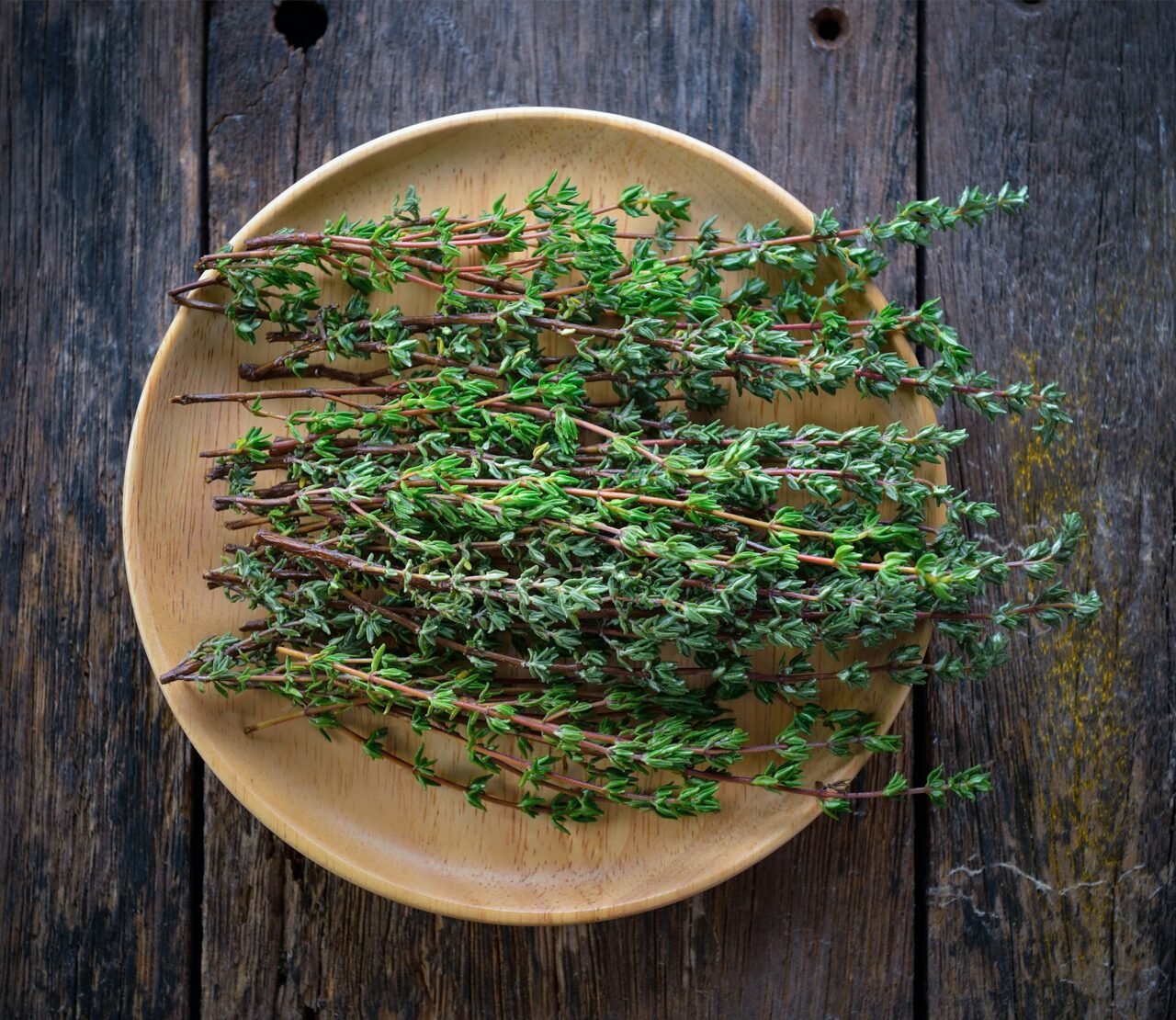 Thyme herb in woodplate on wooden table