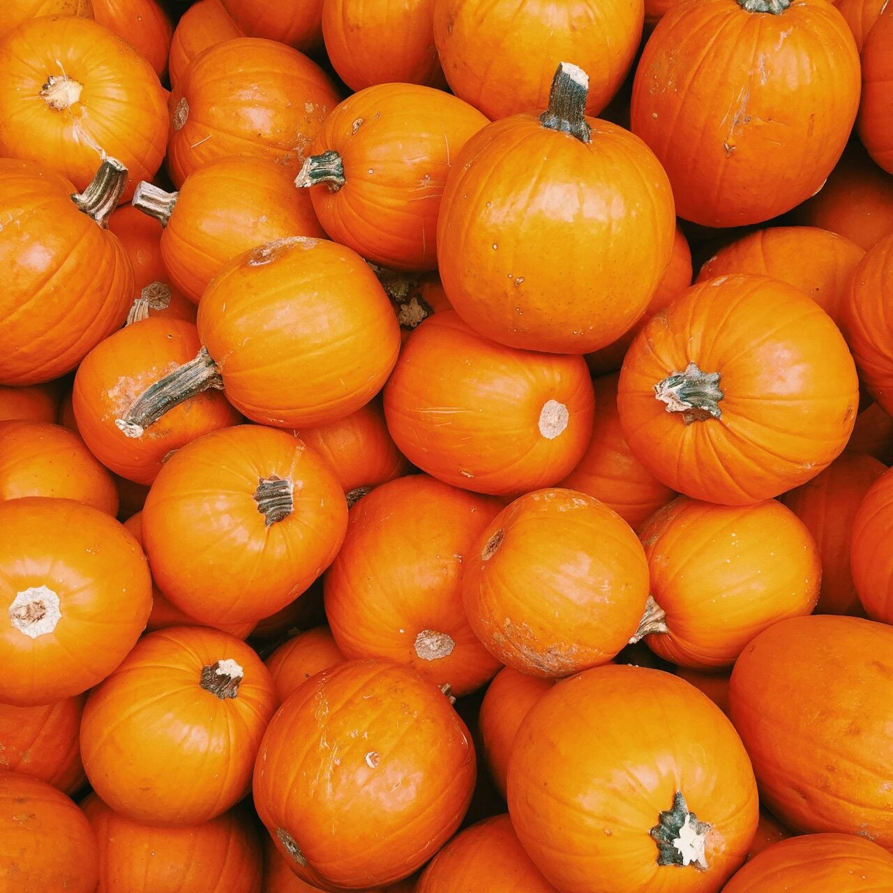 Pumpkins