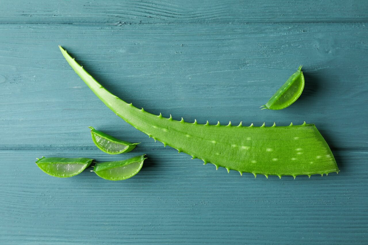 Aloe vera leaf and slices on wooden table, space for text. Natural treatment