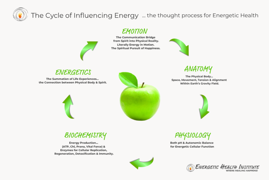 Energy Patterns Energetic Health | Energetic Health Institute
