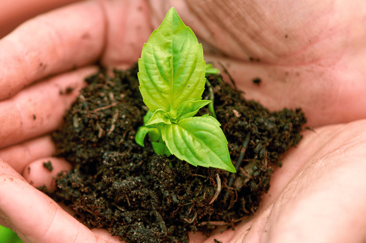 What is energetic health (3)